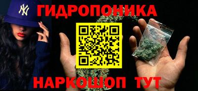 индика Ливны