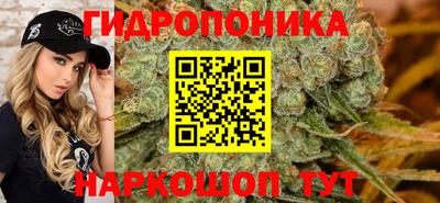 индика Ливны