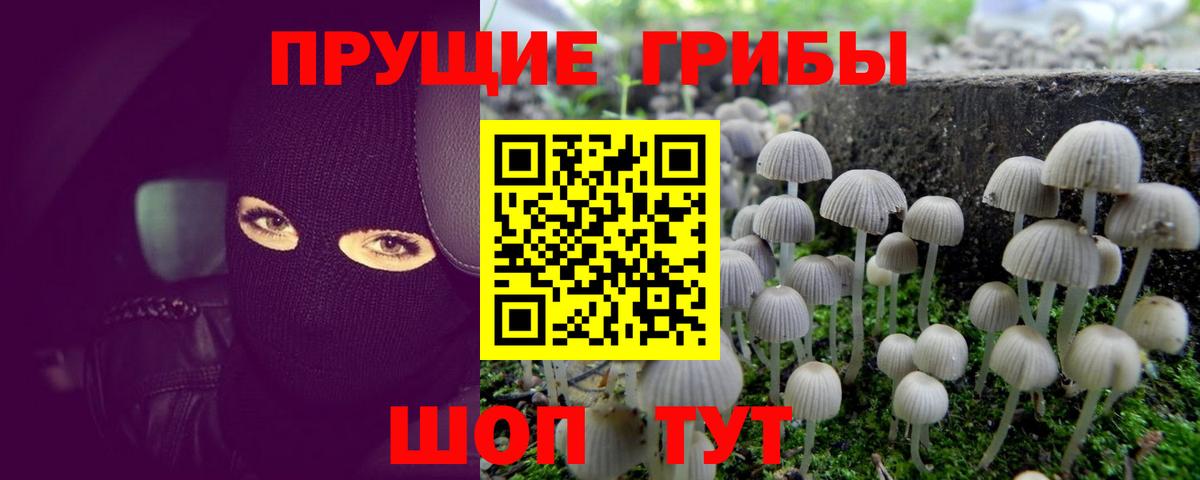 Ухта  Псилоцибиновые грибы мухоморы  Вход с VPN 